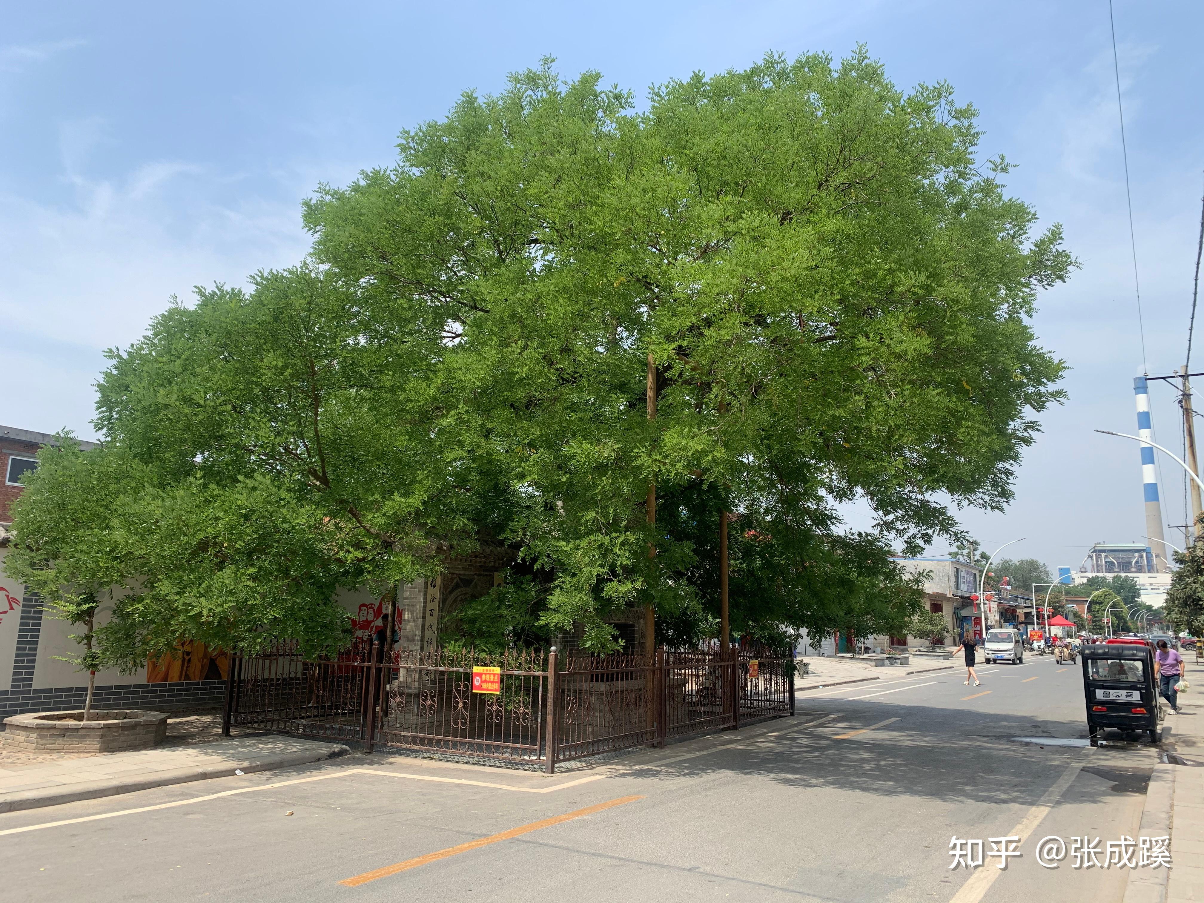 老新乡八景之五陵春晓