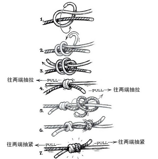 栓马结的打法图解图片