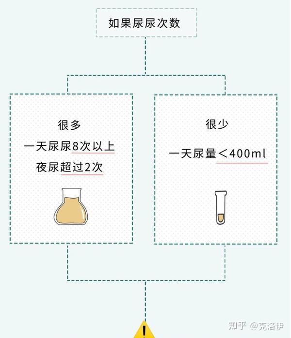 喝完水一直去厕所，和半天不去厕所的人，哪个更健康？ 知乎 5554