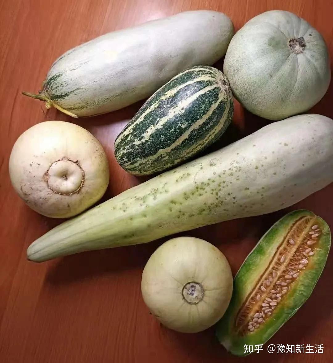 在种瓜这件事上，河南人有多认真？ - 知乎