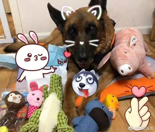 这两具被毒死的尸体,暴露了人性的恶……-惨被毒死