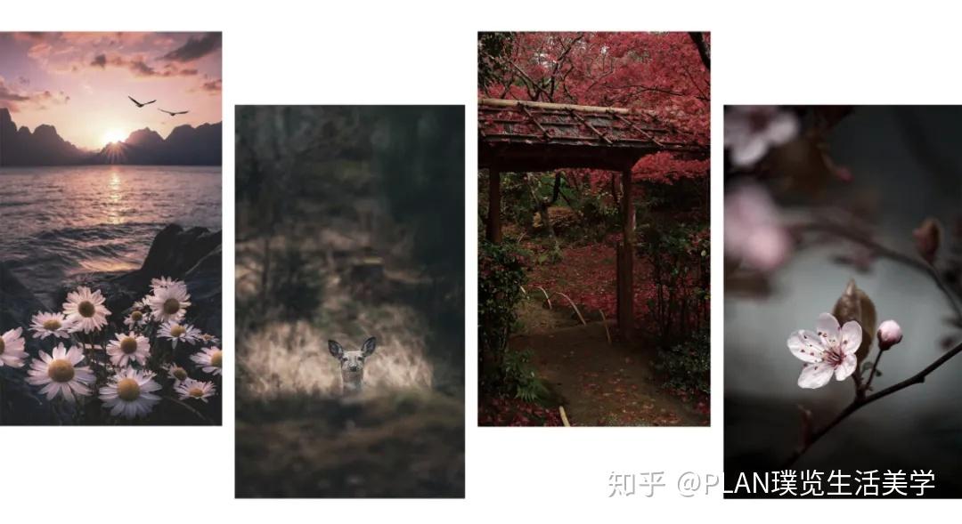 幽玄美学 | 美在于物与物间创造的阴翳明暗 - 知乎