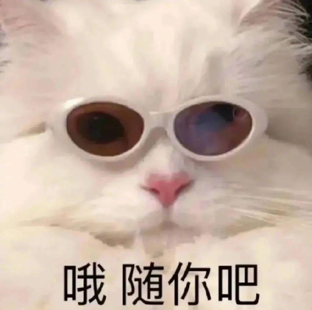笑到不行表情包 - 知乎