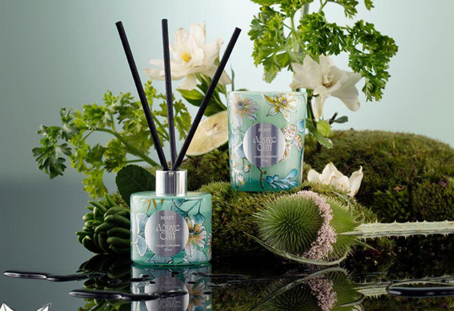 野兽派香薰礼盒