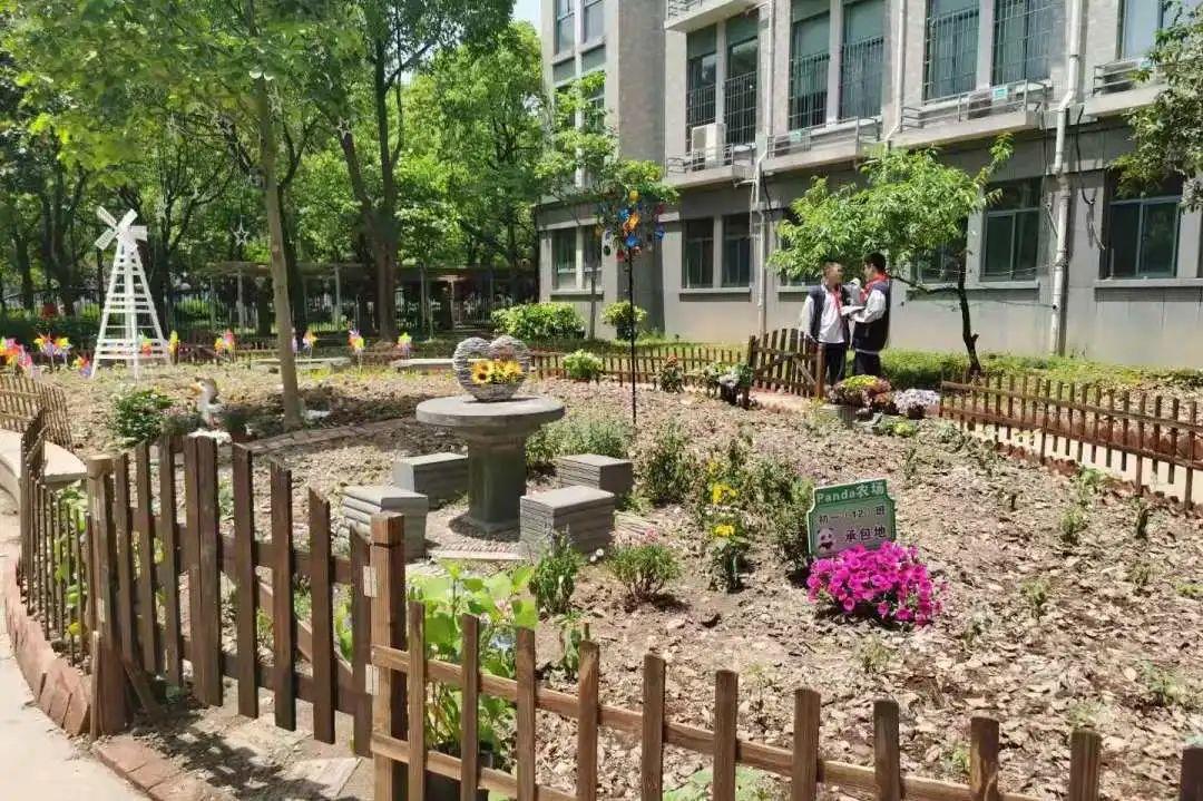 儿童友好中国实践劳动教育与一所建在农场里的校园