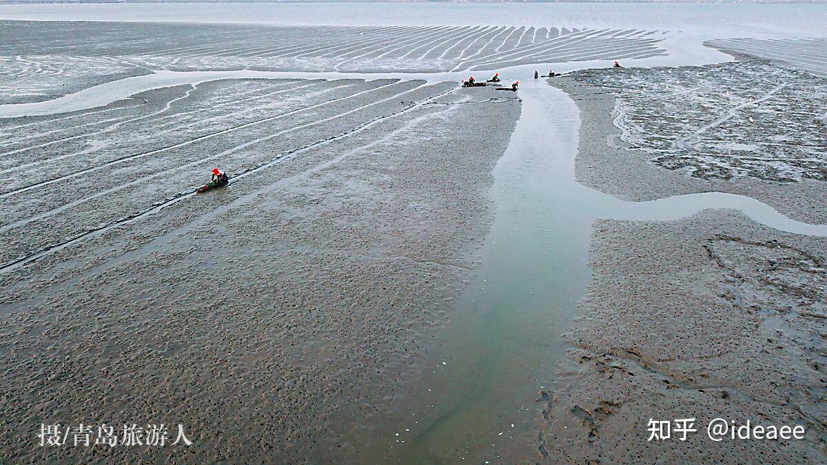 【高中地理讲了啥】(014)海岸地貌 - 知乎