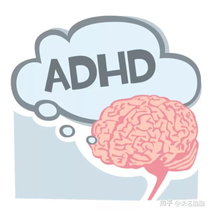 治疗多动症的兴奋剂通过减缓多巴胺被重新吸收回神经网络的速度,让