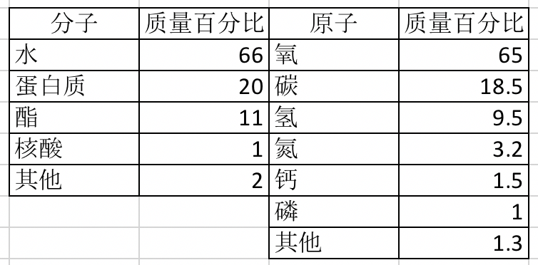 v2-cd69c2df339caed16a1029dca9e28b51_r.jpg