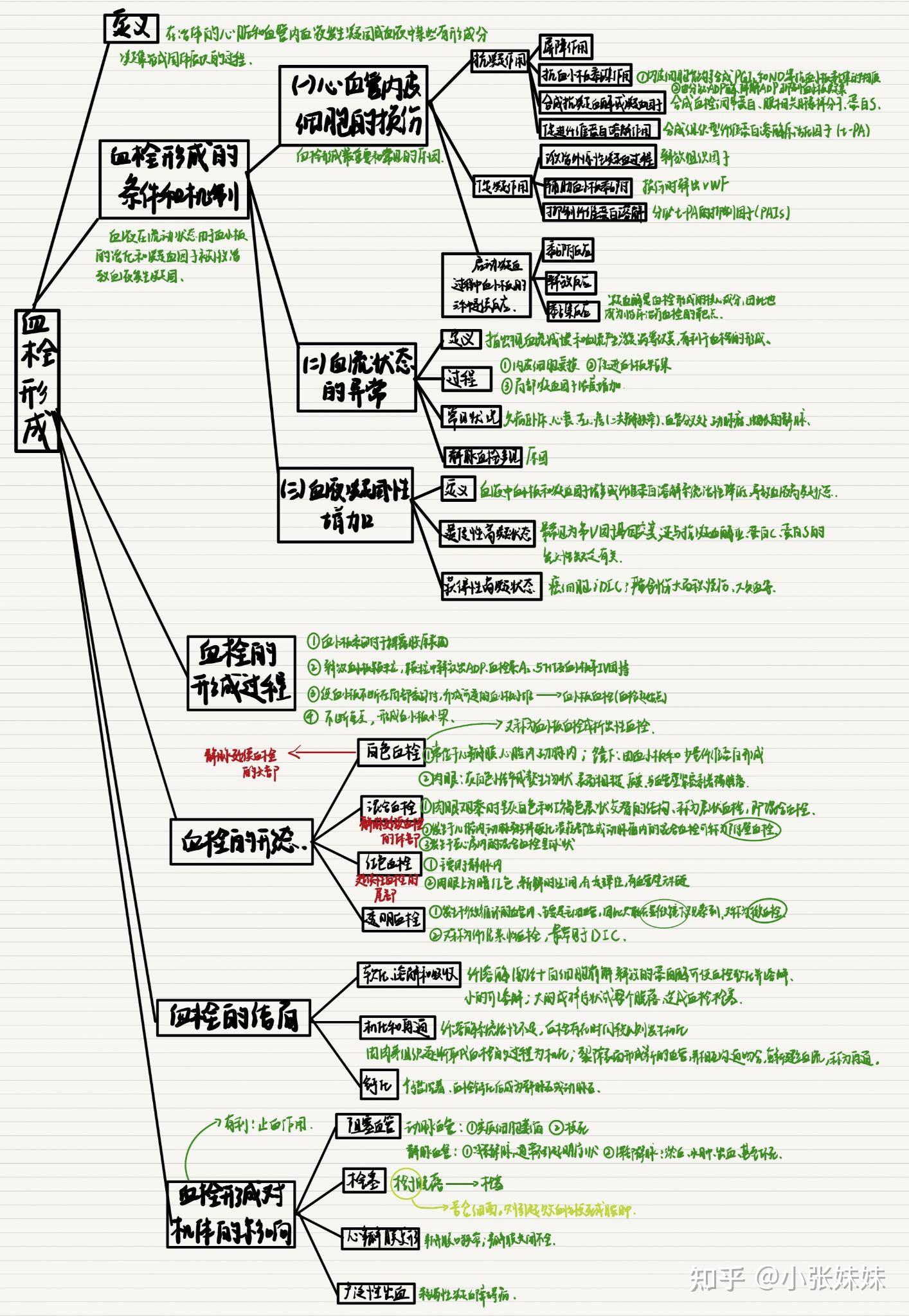 病理学思维导图高清pdf图片