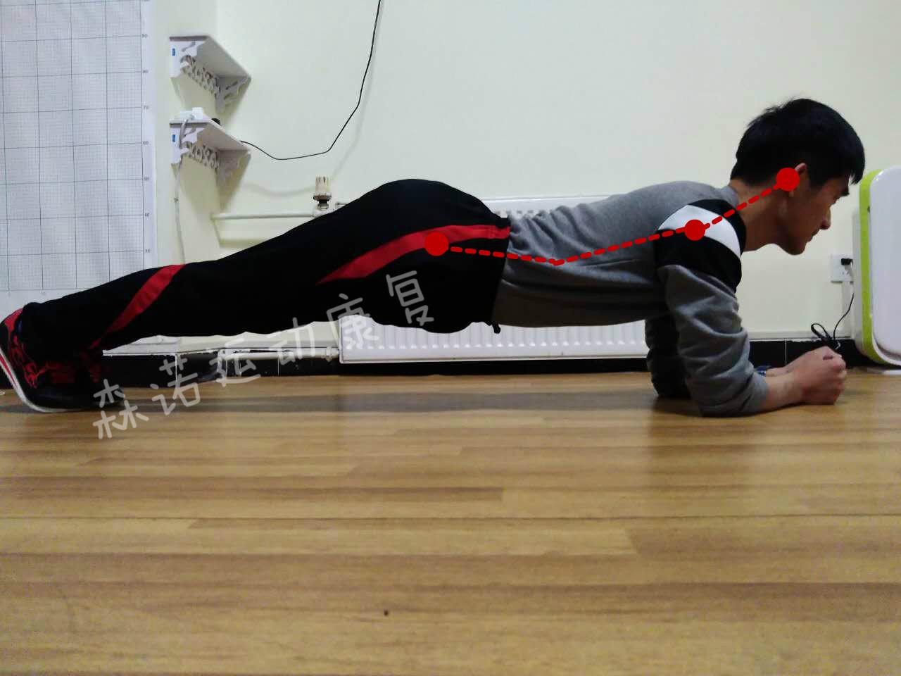 【MIZI】6分钟 初级平板支撑初级 腹直肌锻炼 腹部塑型 - 哔哩哔哩