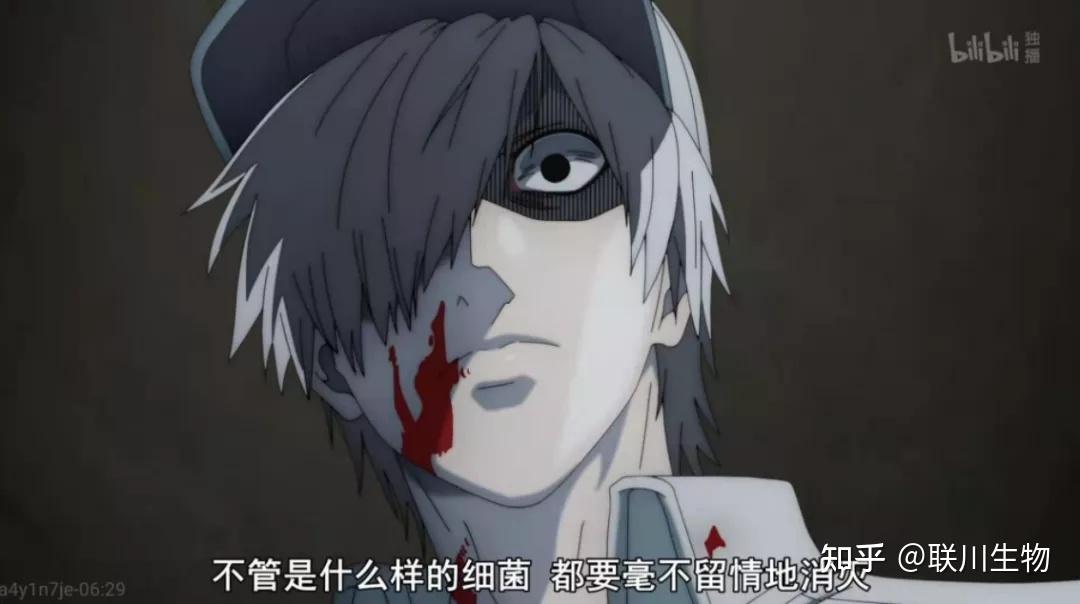 日夜守护你的白细胞竟然可以这么帅工作细胞