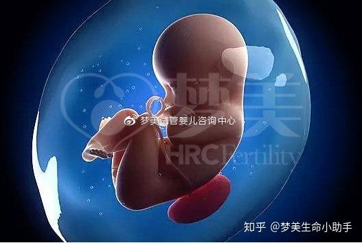世界上第一个试管婴儿现在过得怎么样