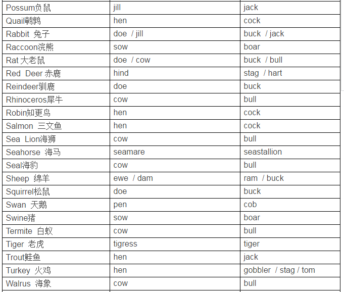 動物界的雌雄英語稱謂hencock和cowbull還能這麼玩兒