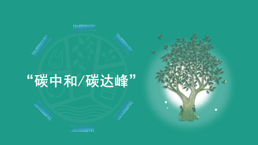 一,什么是"碳达峰""碳中和"?