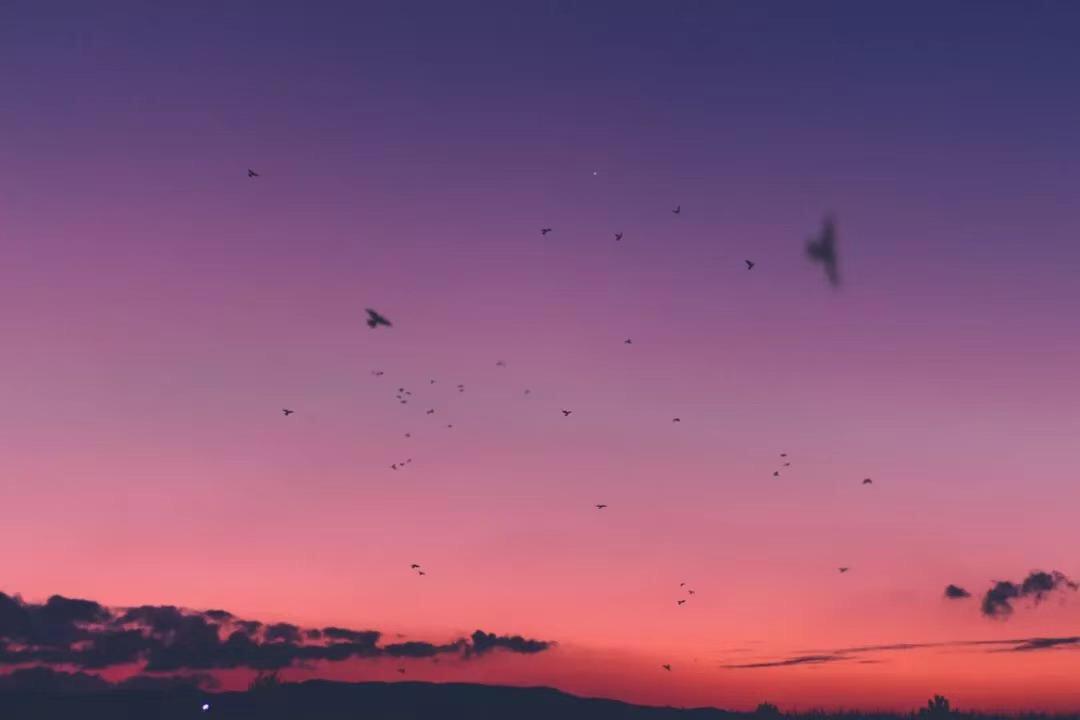如何变得能独当一面 v2-cdc7cf159b0d6cdf249dccd3bfcf7420_r.jpg