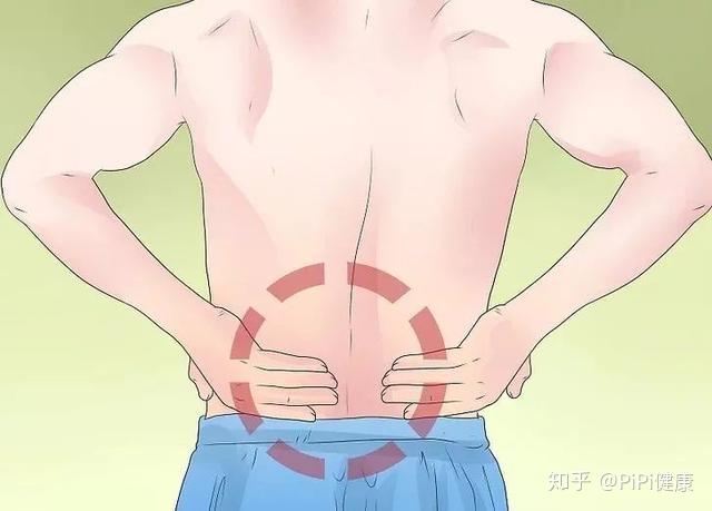 男人肾的位置图疼痛图片