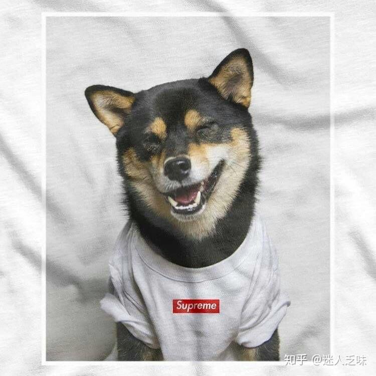 你有哪些好看的头像
