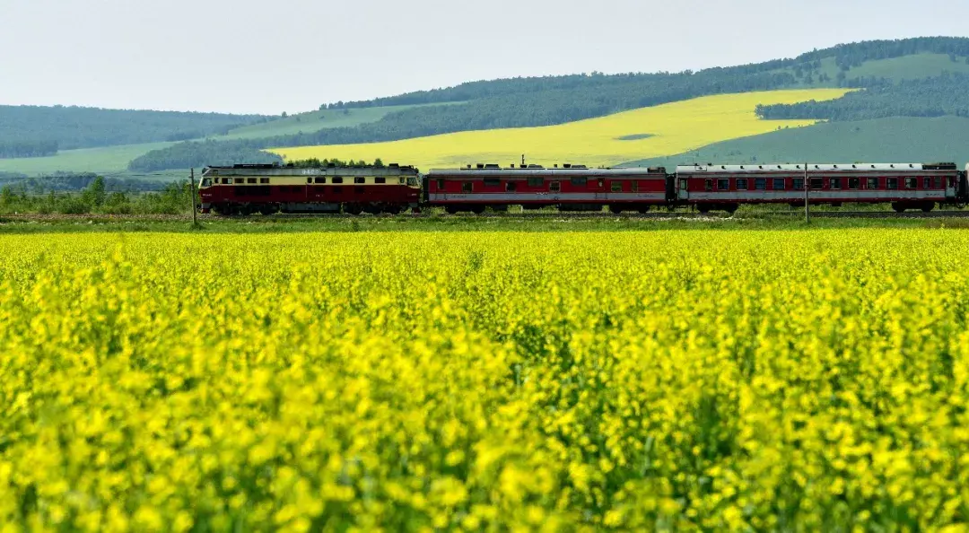 4条国内绿皮火车线路攻略风景超美