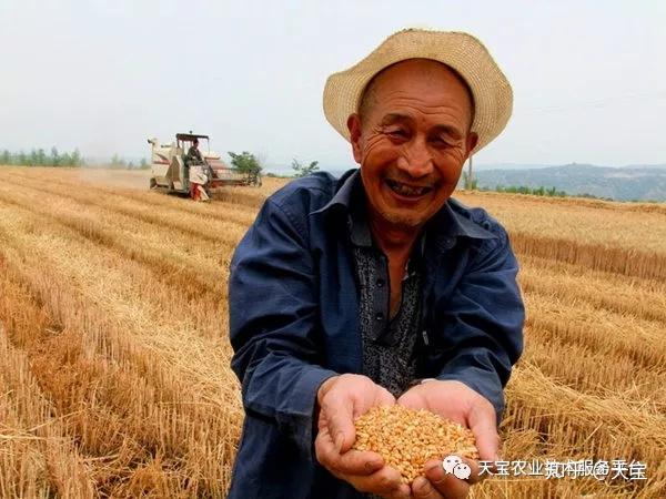 中国农业最尖锐的九大问题!个个扎心!