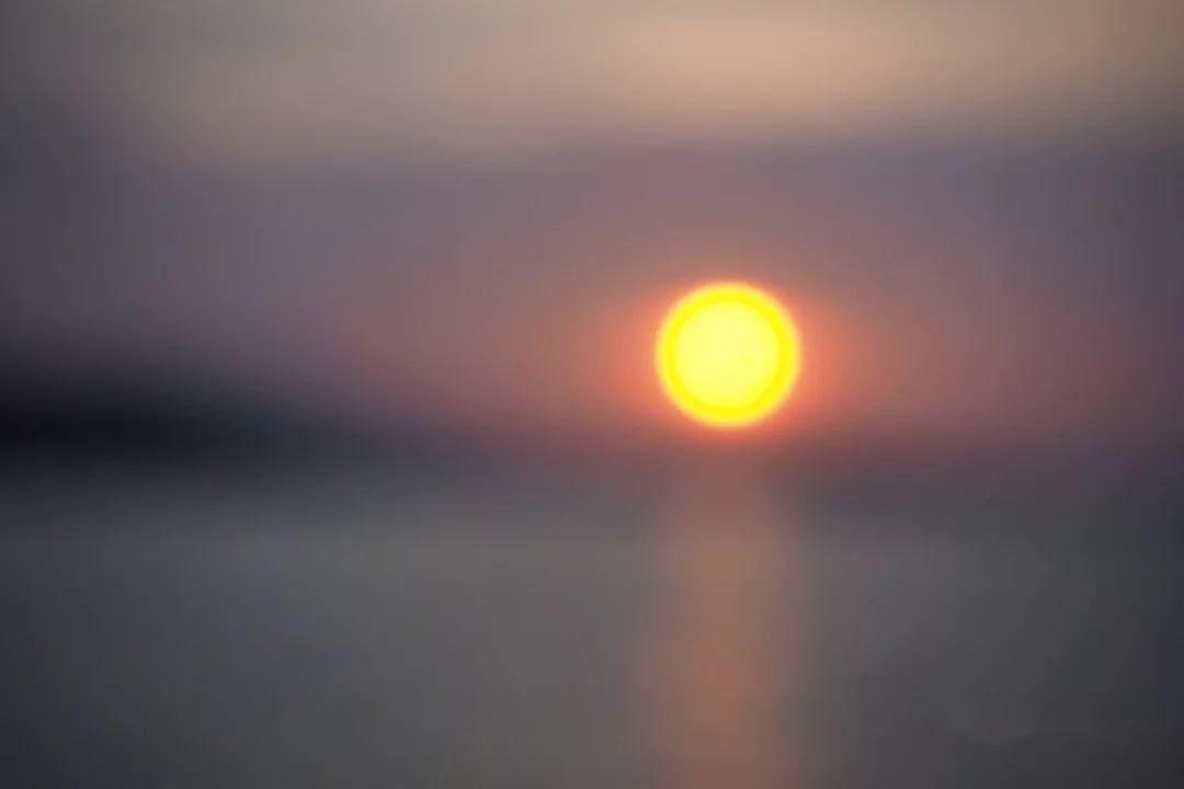 少年菀得的米酒之夜