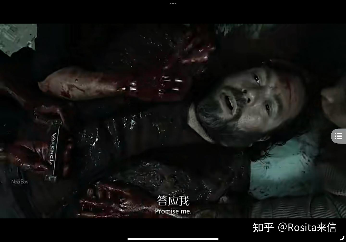 行尸走肉》剧版-第11季24集-大结局/全剧终/结尾-主角摘要- 知乎