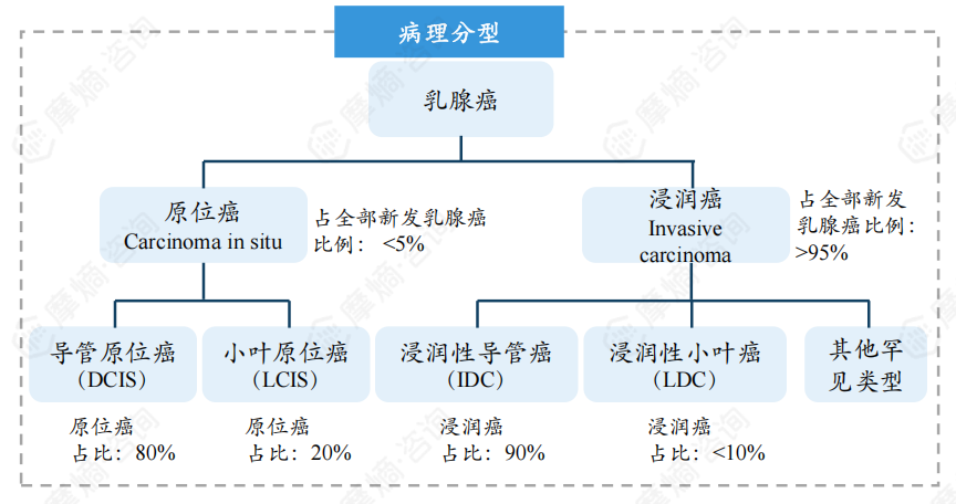 乳腺癌流行病学报告:全球发病率高达11.6%,3成早期会进展为晚期! - 知乎