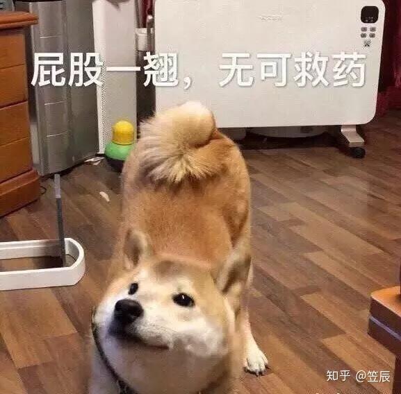 氯气和水反应为什么还有氯水不应该氯气就和水