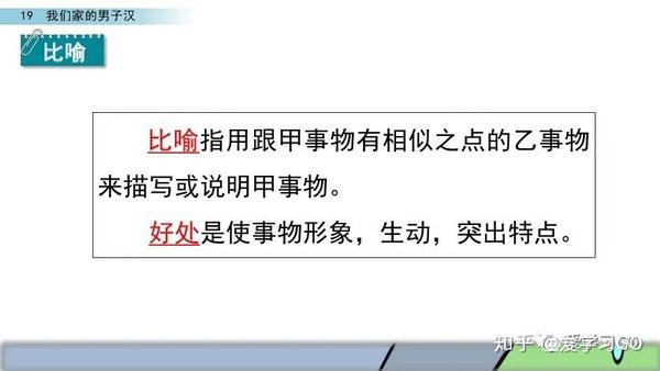 部编版四年级下册第19课《我们家的男子汉》图文讲解