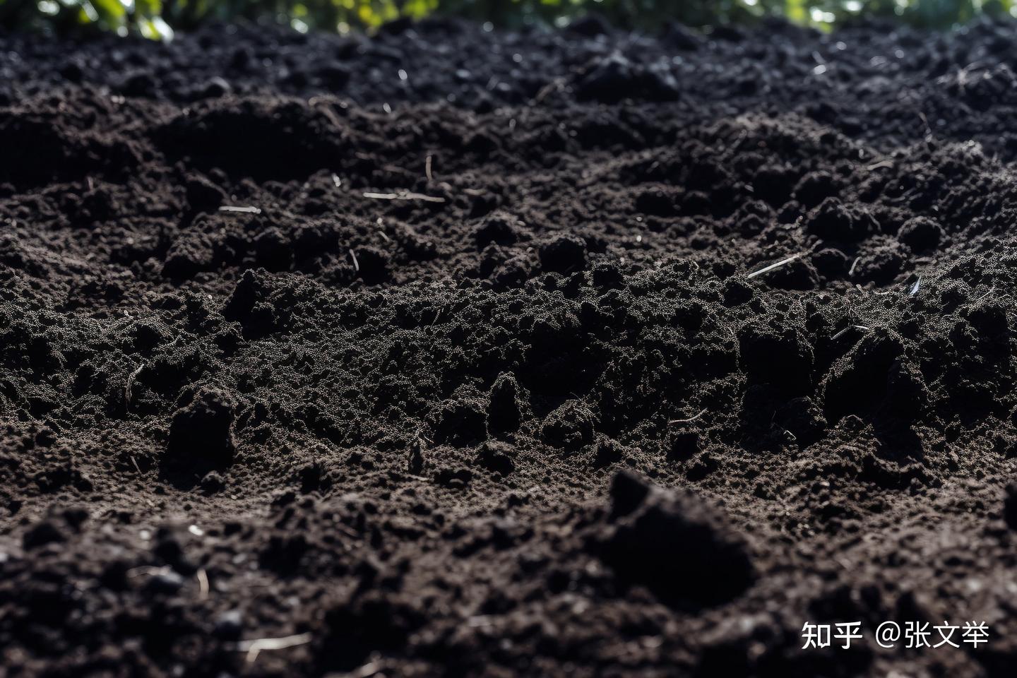 无土之地：地球生命之源的土壤，如何走出困境？ - 知乎