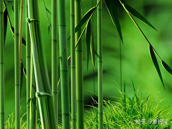 中国原创技术成“竹”在胸？来看“竹子造高铁”的竹缠绕工艺 - 知乎