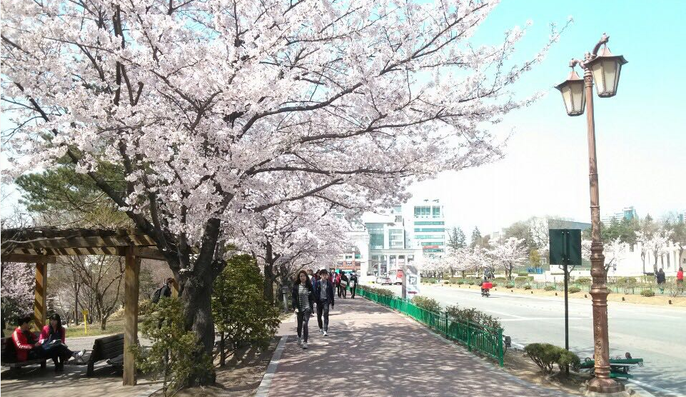 全面解析韩国留学费用和省钱方法 纯干货 知乎 全面解析韩国留学费用和省钱方法 纯干货 知乎