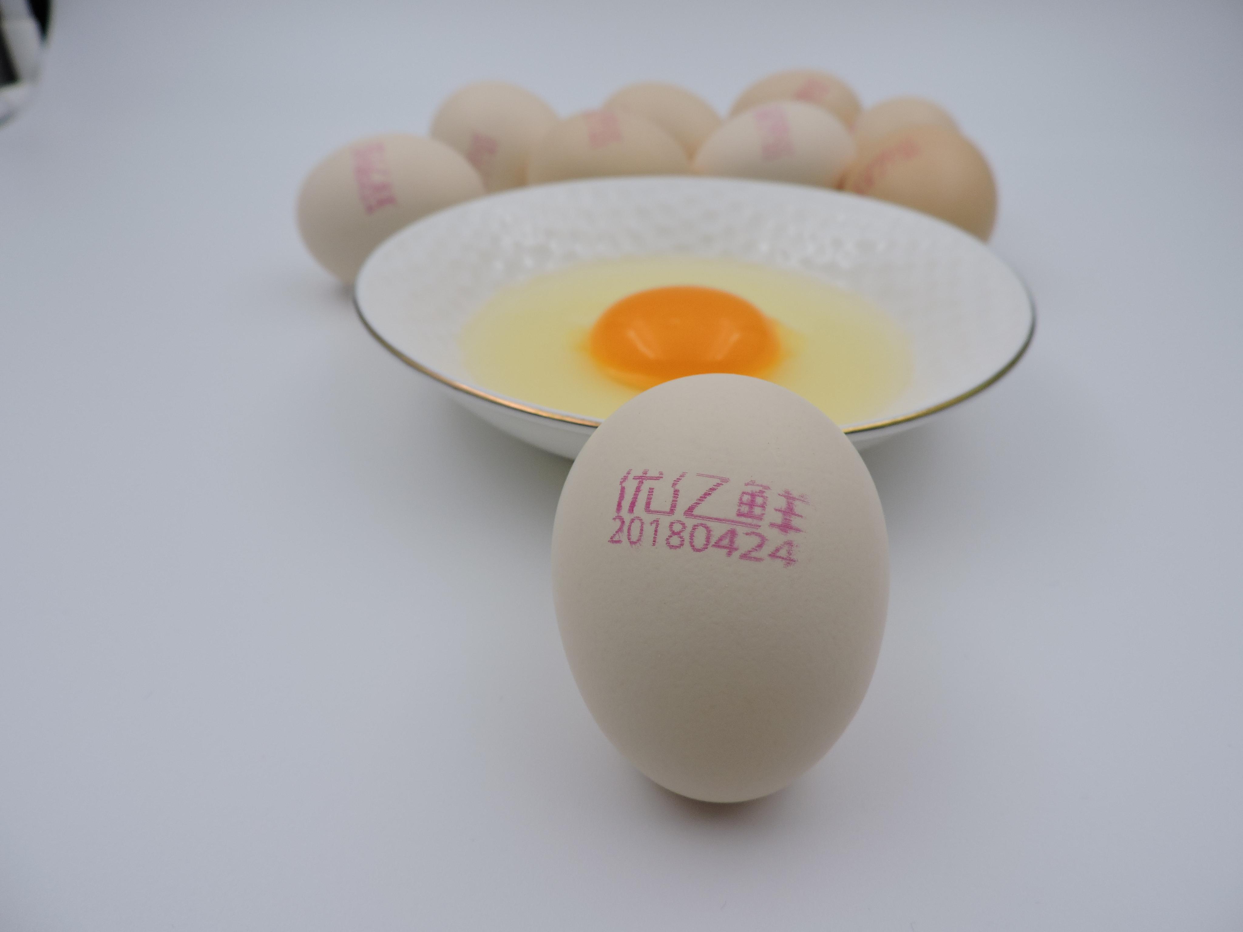 28枚手提鸡蛋托塑料鸡蛋包装盒大号中号小号透明一次性蛋托 塑料-阿里巴巴