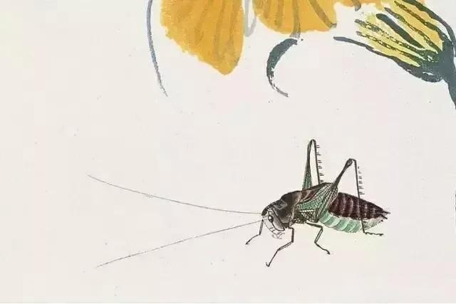 国画家齐白石画1只蝉值2亿网友学1月就能画专家放大3倍看