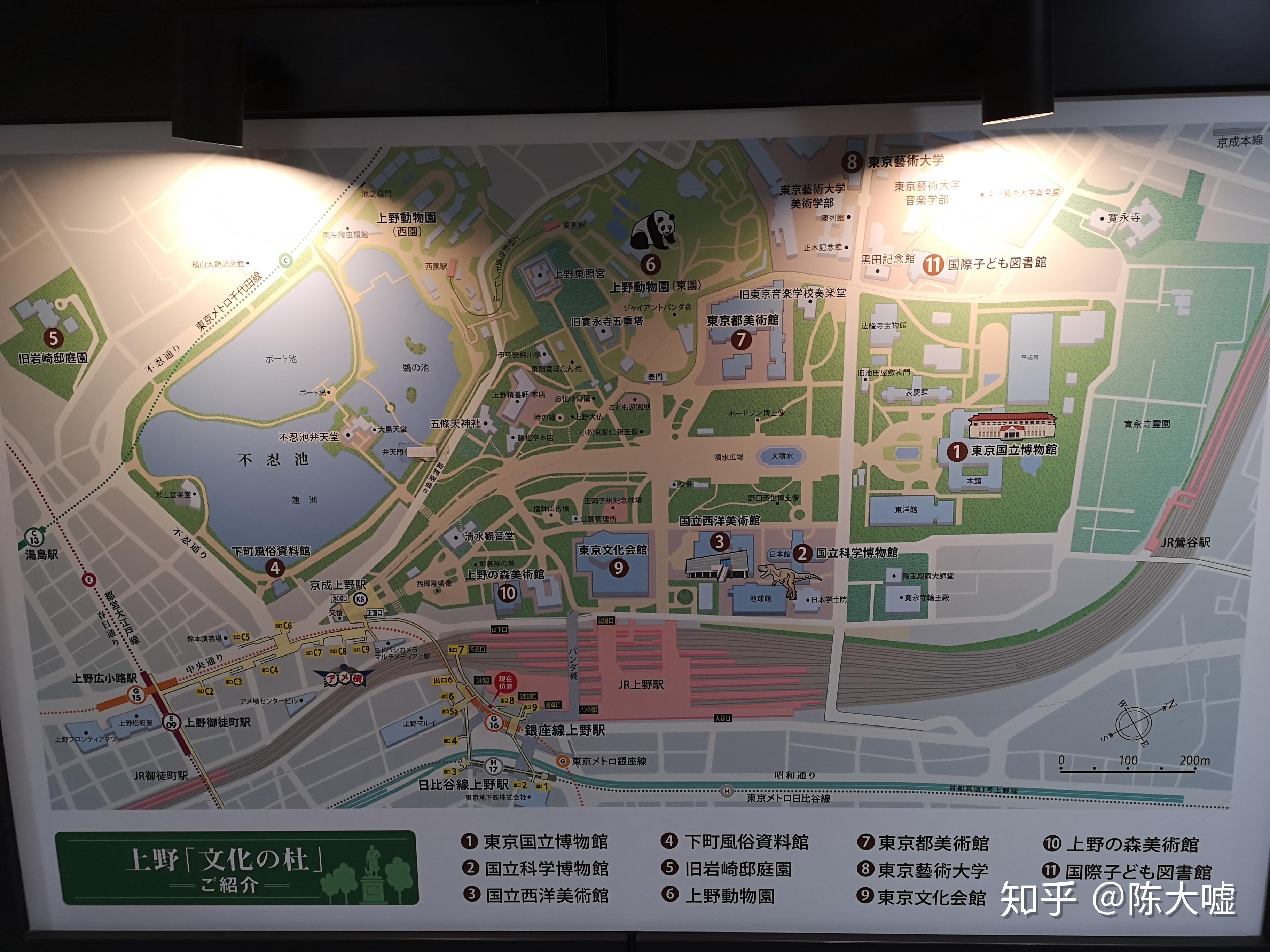 上野公园的艺术巡礼