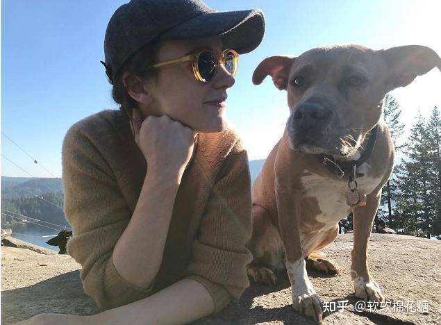 女生:"谈男朋友"和"养狗"选哪个?人间真实 - 知乎