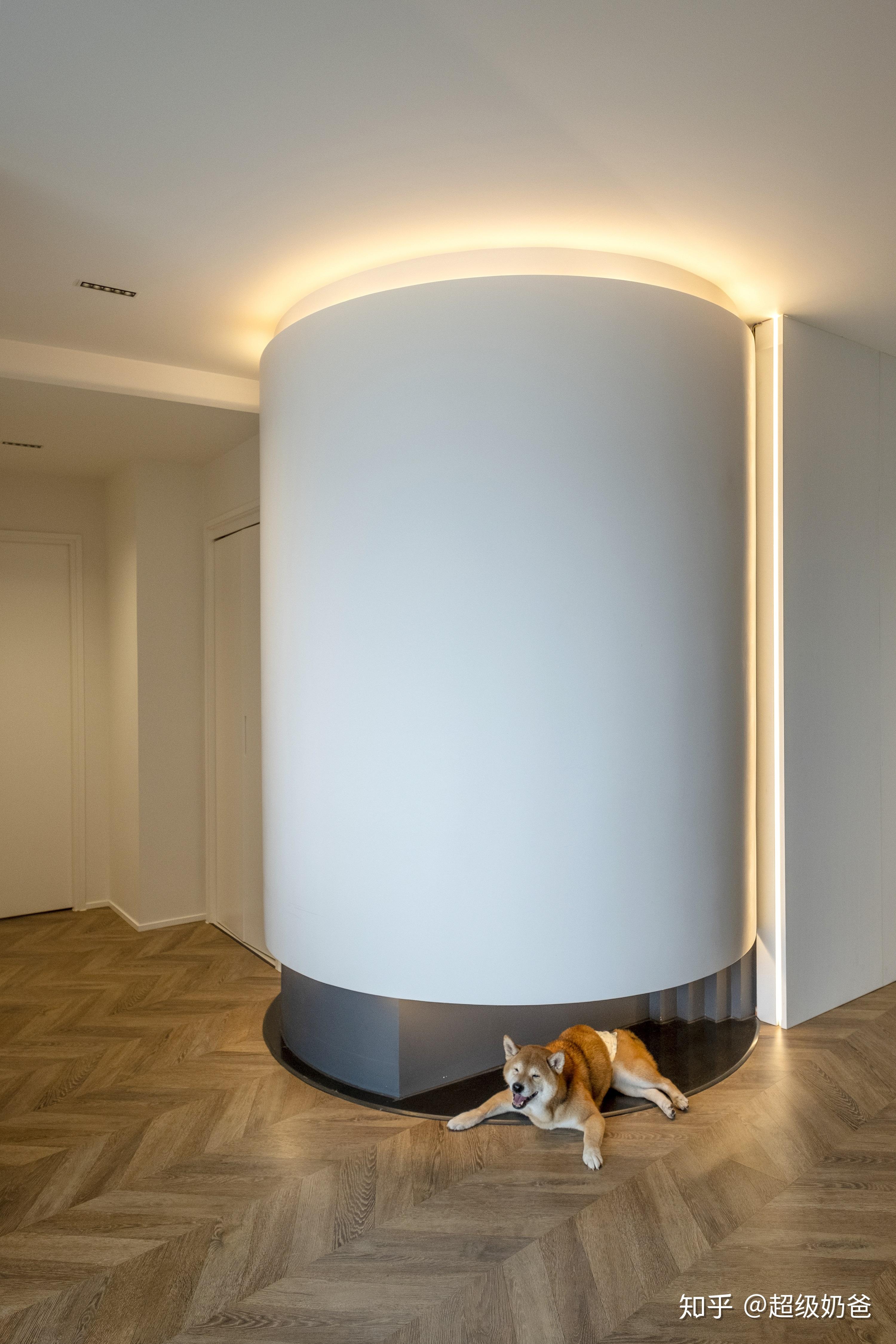 100㎡住一狗二猫三人鱼骨拼弧形外墙她家充满爱的温度