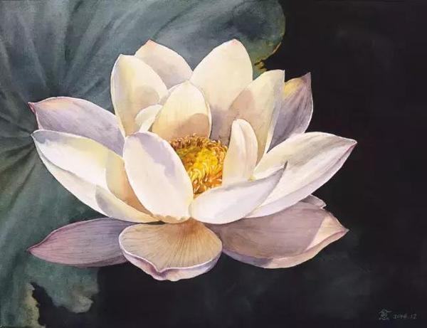 最详细,图文最清晰的教程要数艺伙·v课金牌导师付愈老师的水彩莲花