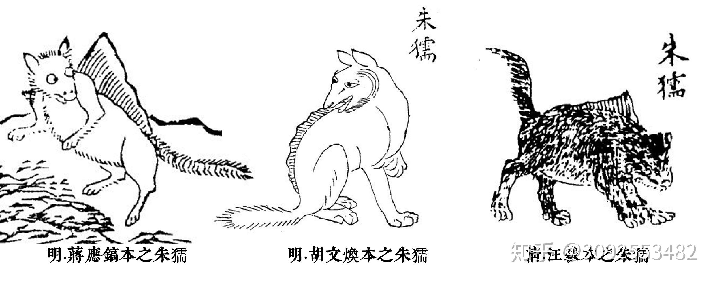 狐文化特辑【二】中国狐文化的早期形态插图(5)