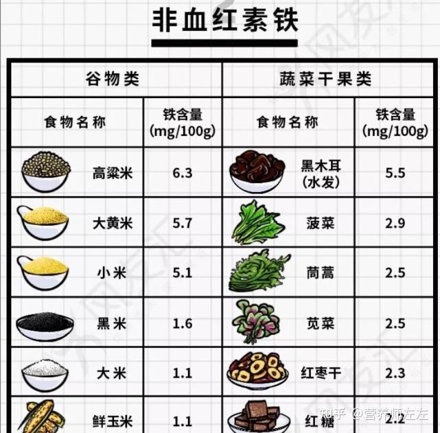 铁的主要食物来源有哪些?