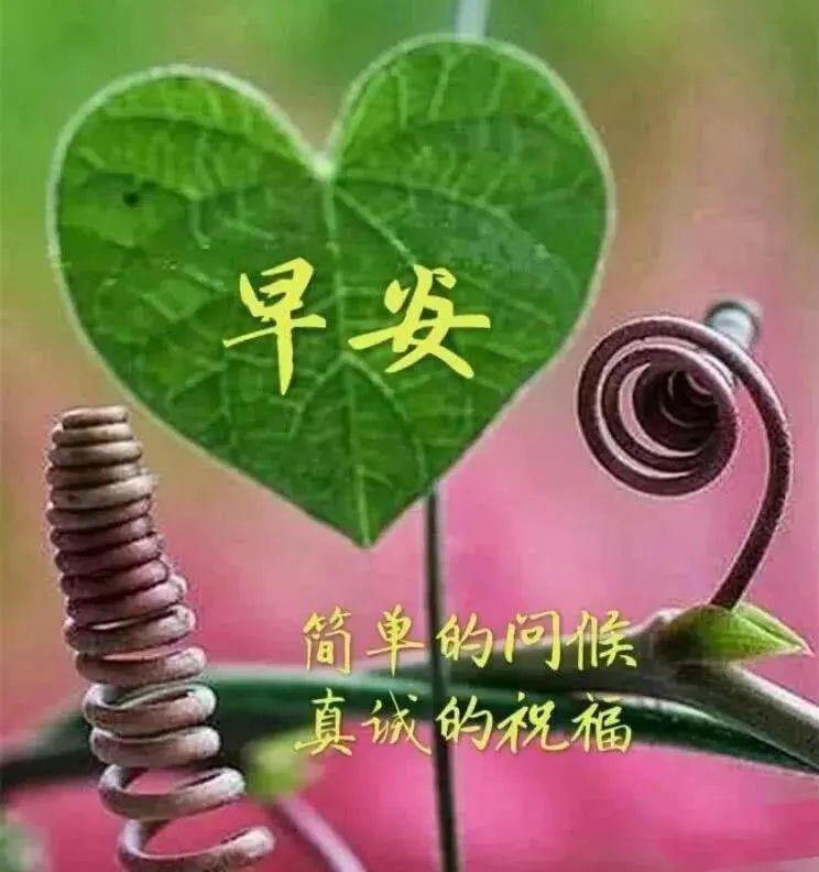 微信群发大家早上好的图片,最美早上好表情包图片祝福语录句子 - 知乎