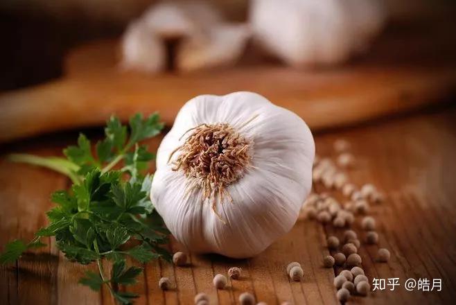 杨绛与钱钟书留学时,曾与俞大缜,俞大絪姐妹一起烧肉.