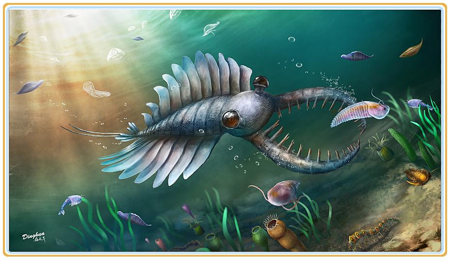 生物简史图鉴 寒武纪之中国1 澄江动物群为主 知乎 生物简史图鉴 寒武纪之中国1 澄江动物群为主 知乎