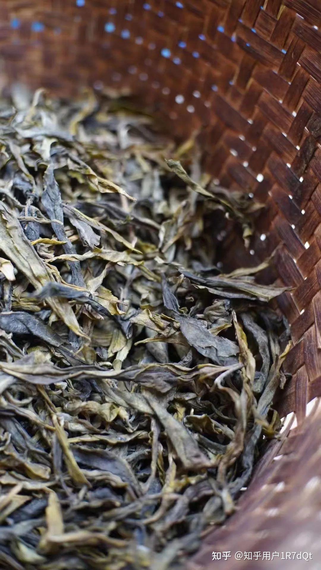 让您重新认识普洱茶里的“黄金叶（老黄片）” - 知乎