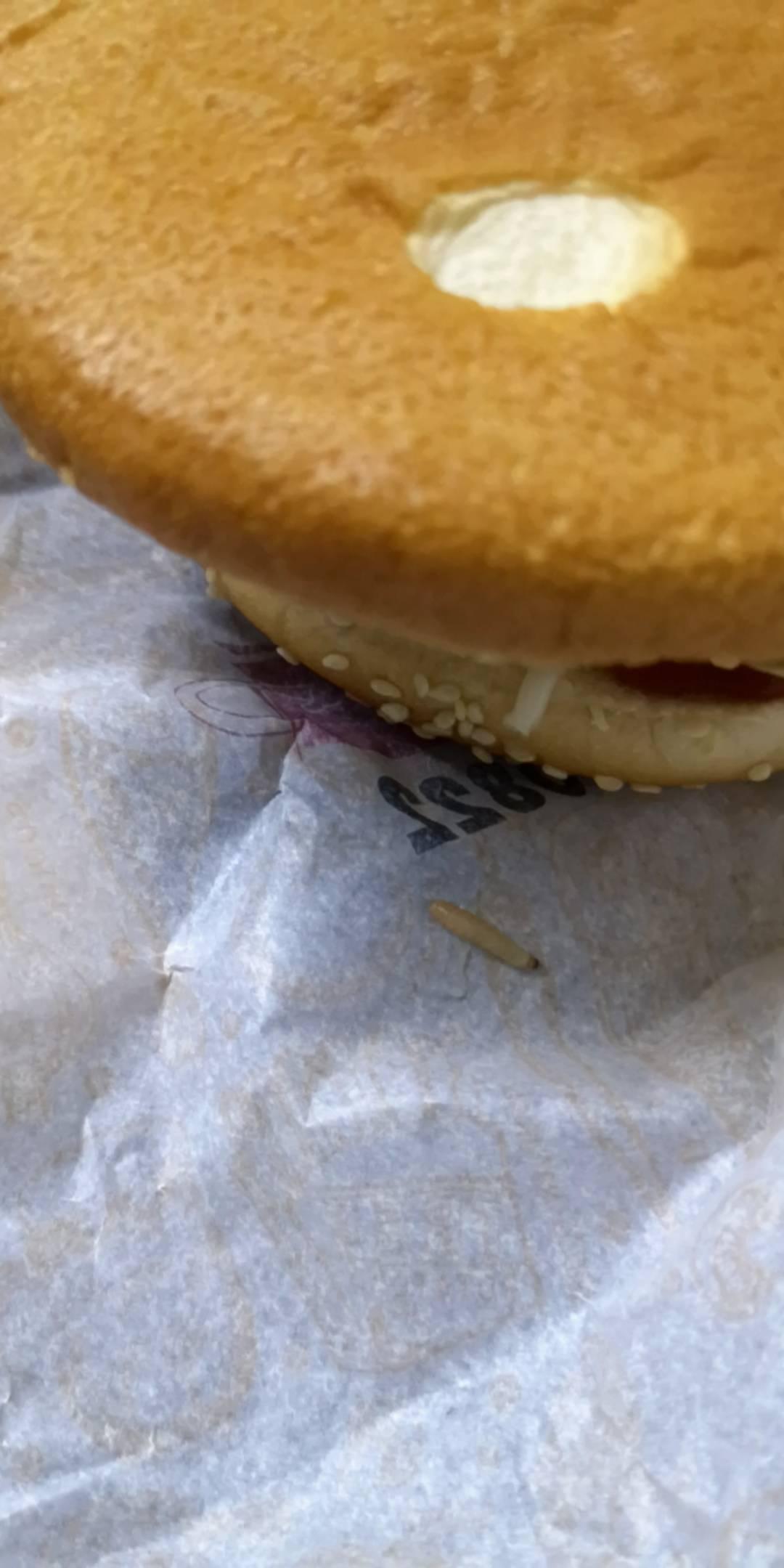 关于我在天津某大学超市买的汉堡吃出蛆来这档事