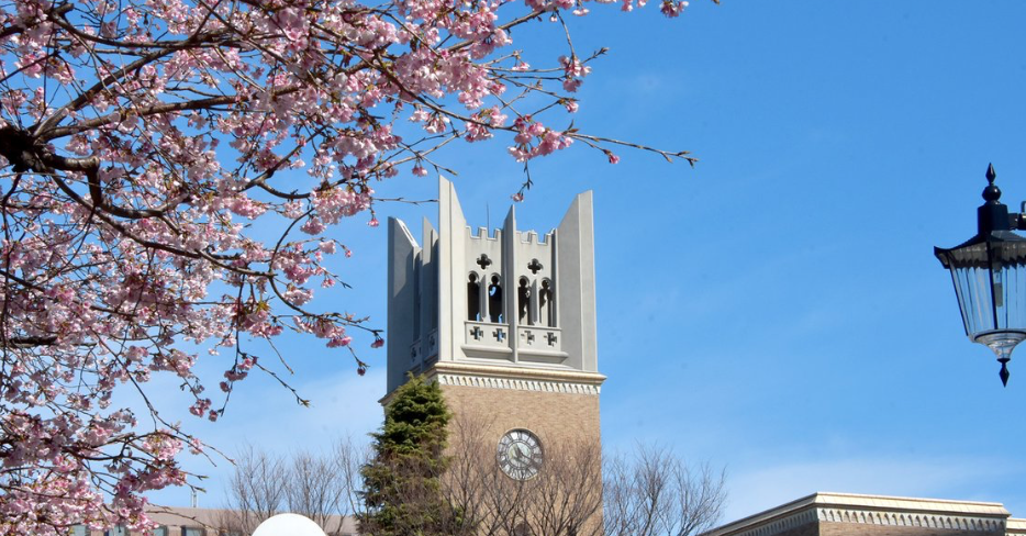 留考结束不迷茫早稻田大学校内考攻略来啦