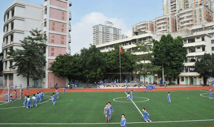 深圳笋岗小学罗湖区重点小学排名