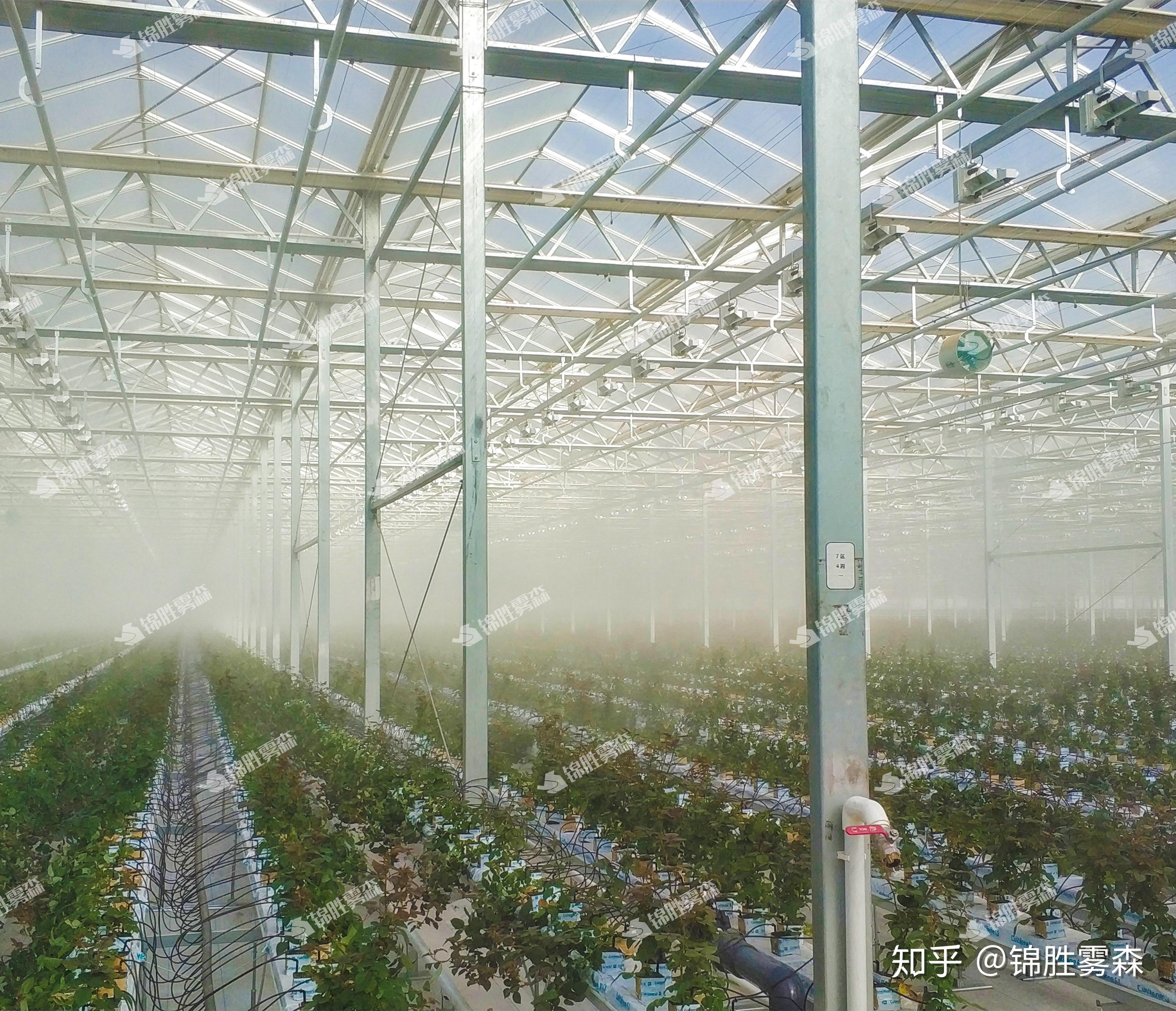  锦胜雾森>人造雾系统改善温室大棚种植环境 - 知乎