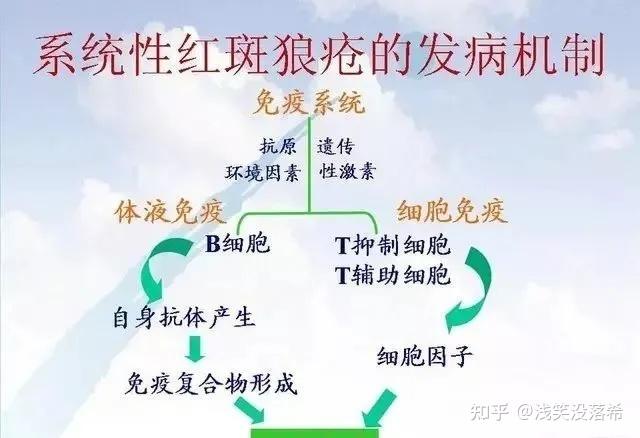 系统性红斑狼疮是一种美女病 - 知乎