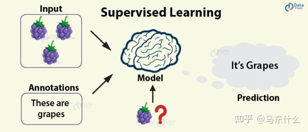 Self-supervised Learning - 知乎