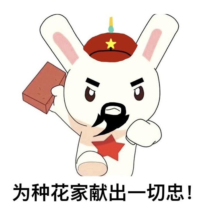 忠君爱国洪承畴